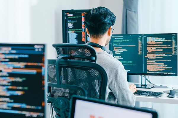 A look over the shoulder of a developer