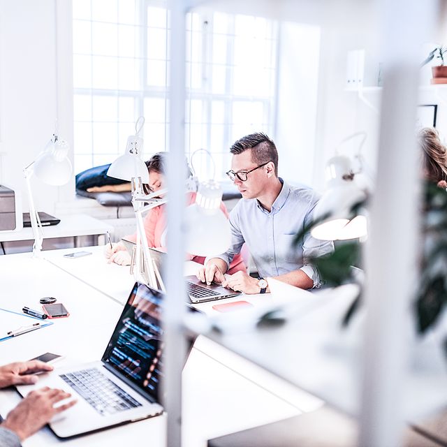 Several colleagues in the open-plan office use Octopus FX.