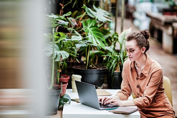 A person sitting at a desk with a green houseplant is reading about Hubdrive on their laptop.