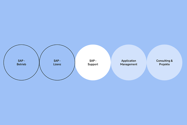Infographic: Telekom as a full-service provider of SAP® solutions