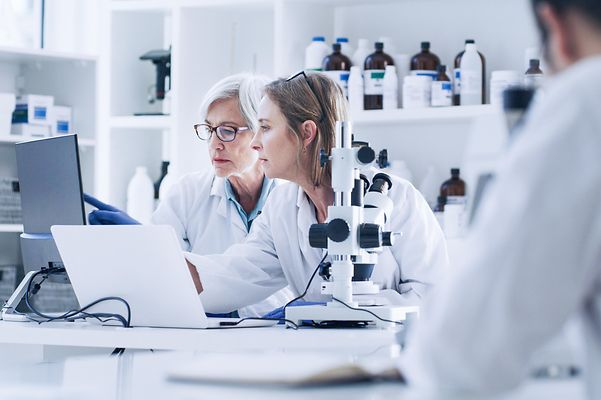 Several doctors are sitting in a laboratory in front of a laptop, looking together at the electronic patient file.