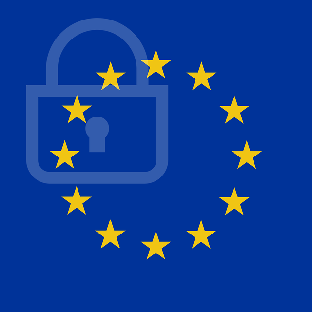 European flag with castle in the background