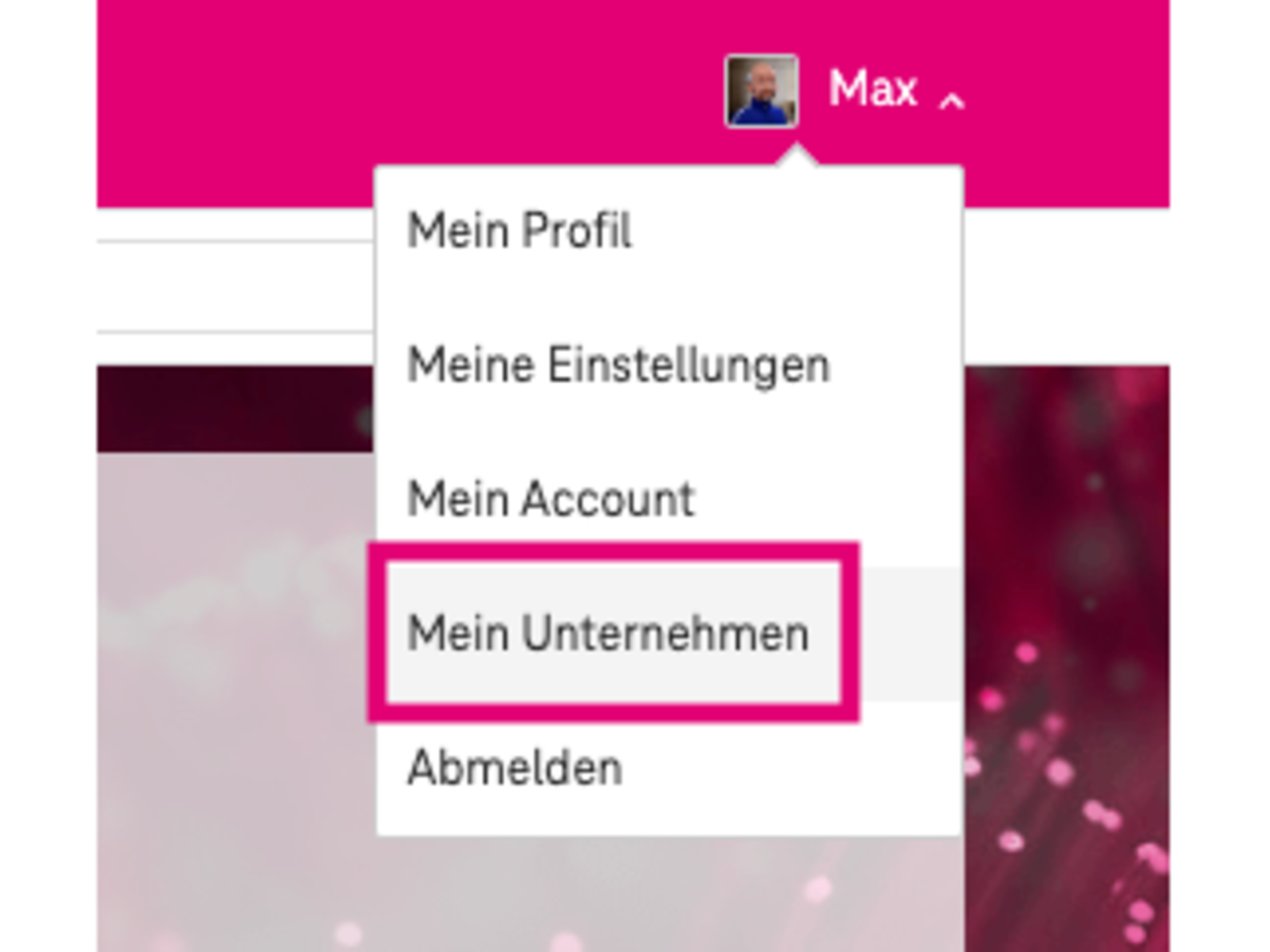 Telekom Cloud Marketplace companies