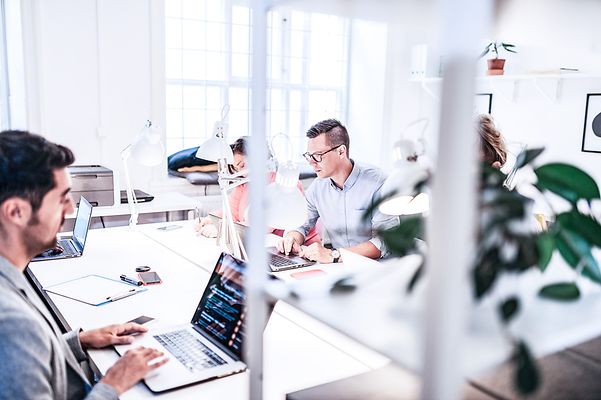 Mehrere Kollegen arbeiten im Büro gemeinsam an einem Projekt