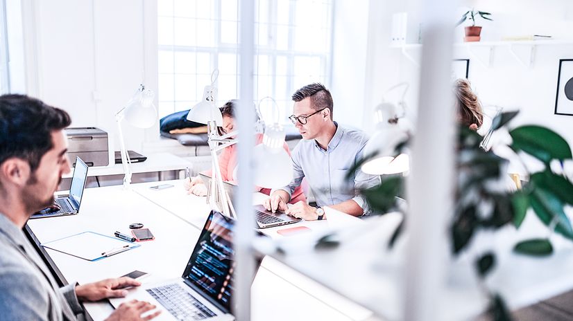 Mehrere Personen sitzen im Büro und schauen auf ihre Laptops.