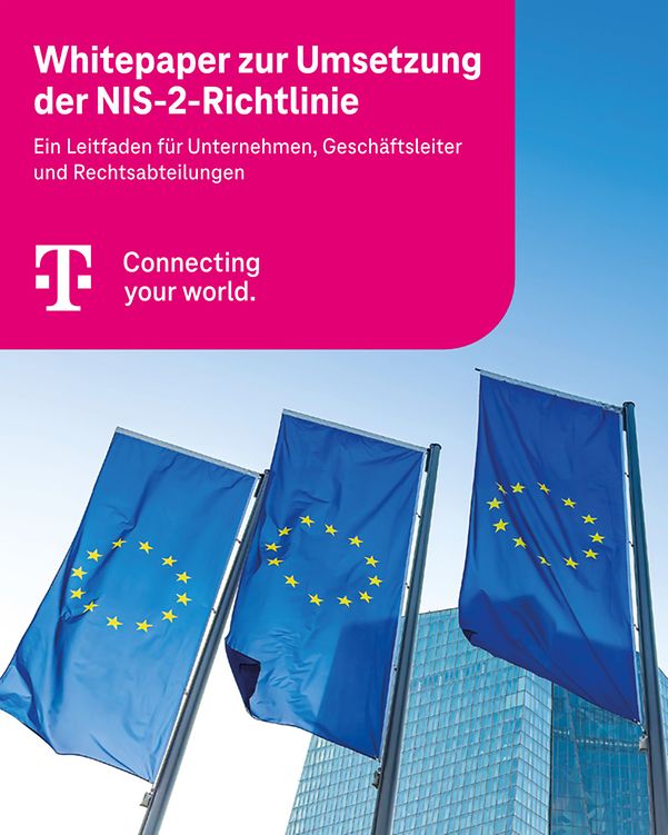 Cover des Whitepapers, mit 3 Europafahnen vor einem Gebäude