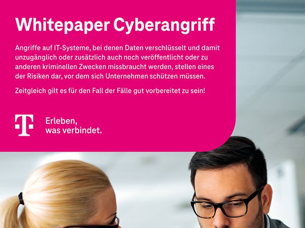Cover des Whitepapers, mit 2 Personen an einem Tisch mit Laptop, die ein Dokument analysieren