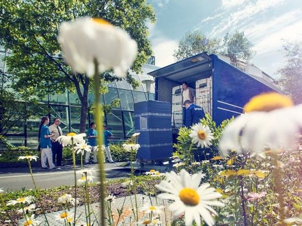 Entladung von Arbeitskleidung aus einem blauen LKW von Bardusch mit Margeriten im Vordergrund
